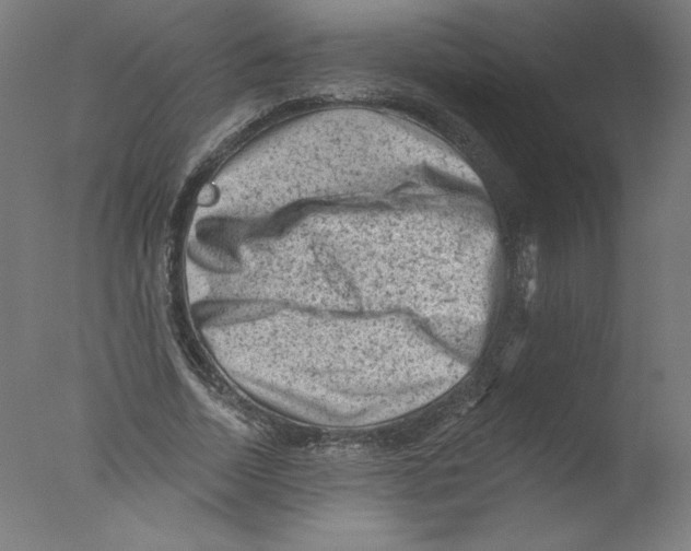 X0000076100730200610202135