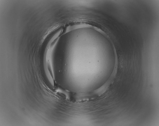 X0000076100731200610202135