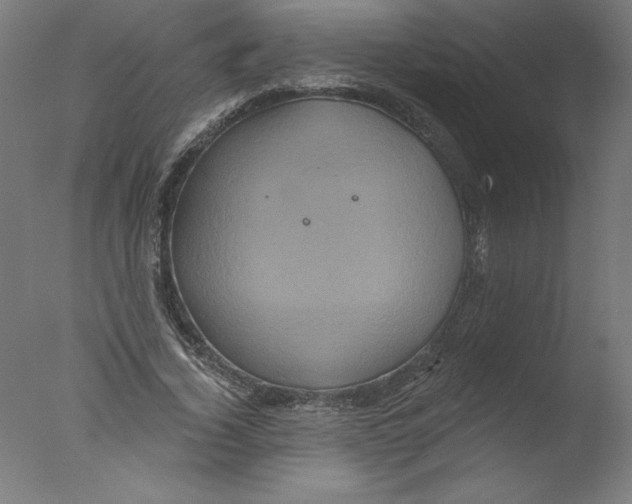 X0000076100732200610202135