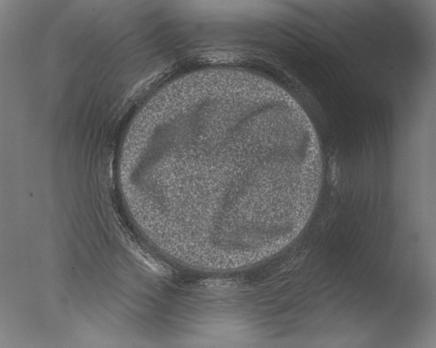 X0000076100733200610202135