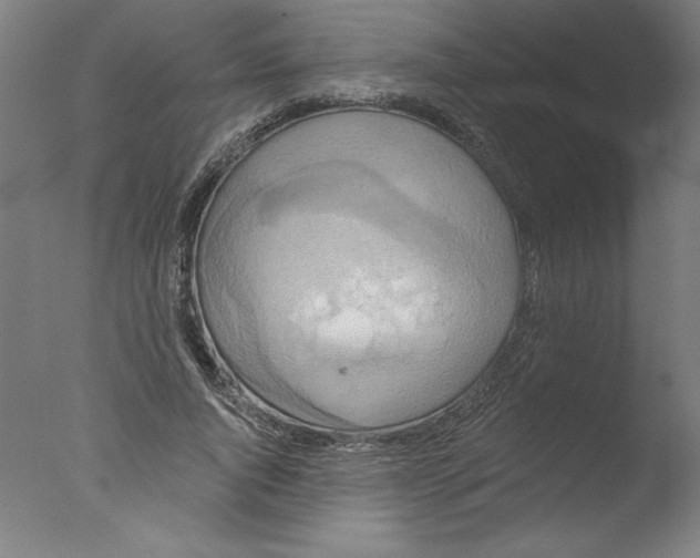 X0000076100736200610202135