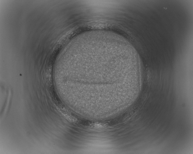 X0000076100737200610202135