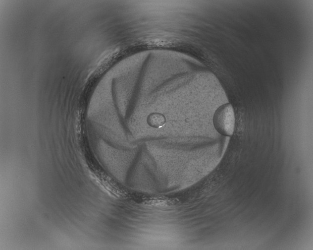 X0000076100738200610202135