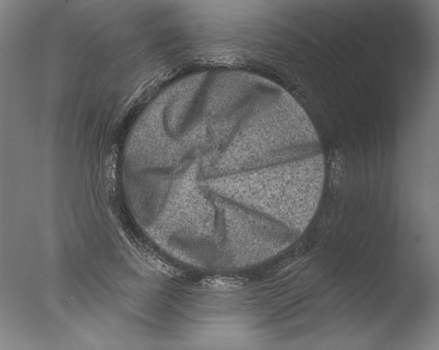 X0000076100739200610202135