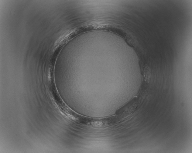 X0000076100740200610202135