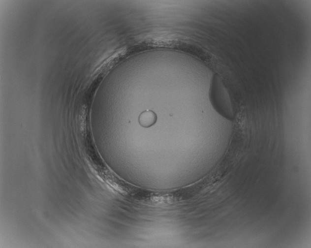 X0000076100744200610202135