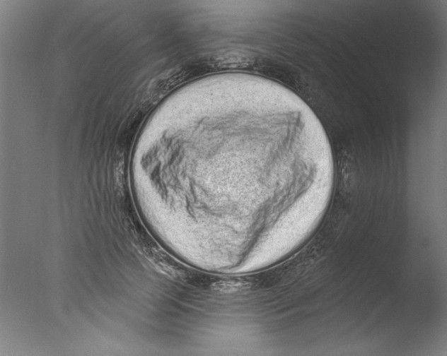 X0000076100745200610202135