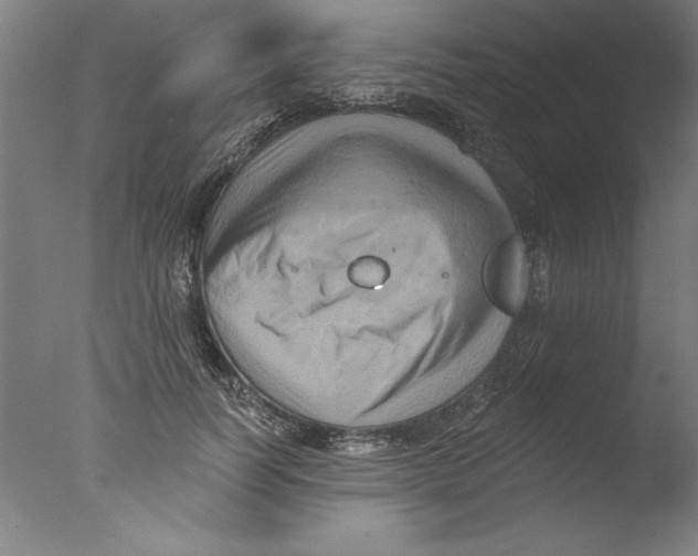 X0000076100746200610202135