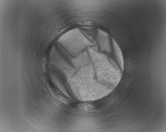 X0000076100747200610202135