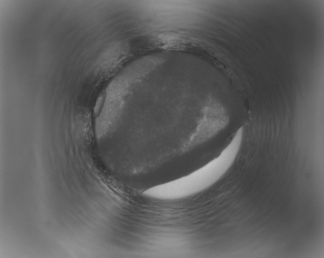 X0000076100748200610202135