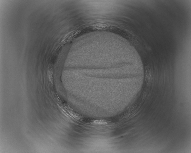 X0000076100749200610202135