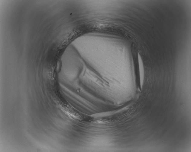 X0000076100750200610202135