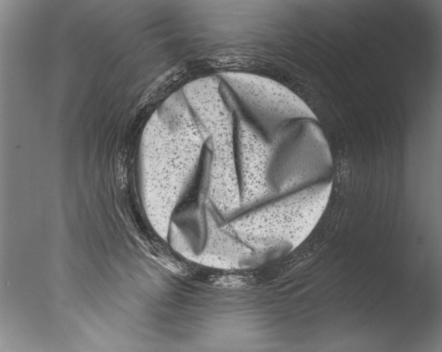 X0000076100751200610202135