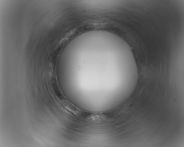 X0000076100752200610202135