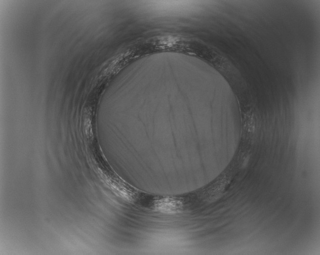 X0000076100754200610202135