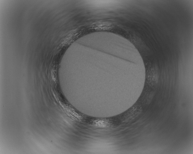 X0000076100755200610202135