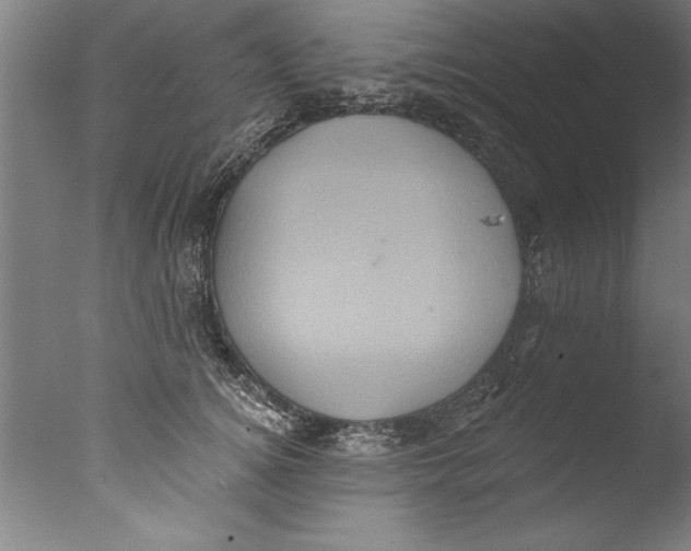 X0000076100756200610202135