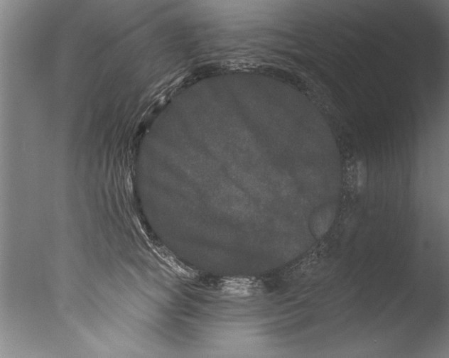 X0000076100757200610202135