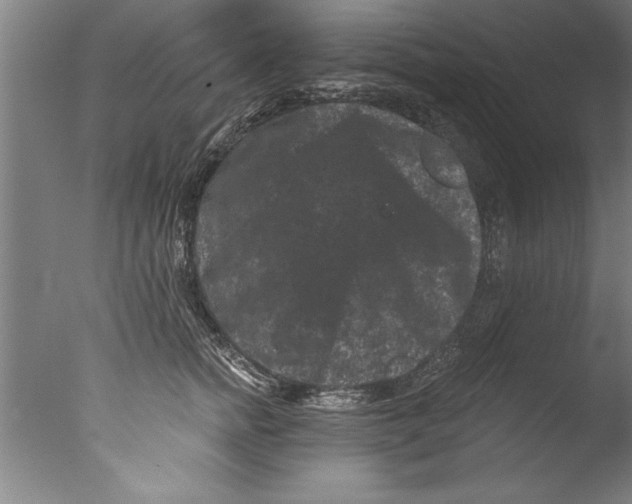 X0000076100758200610202135