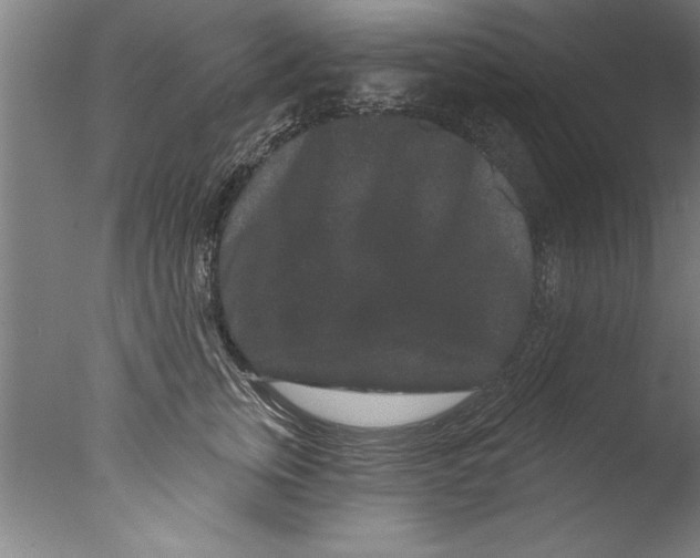 X0000076100759200610202135