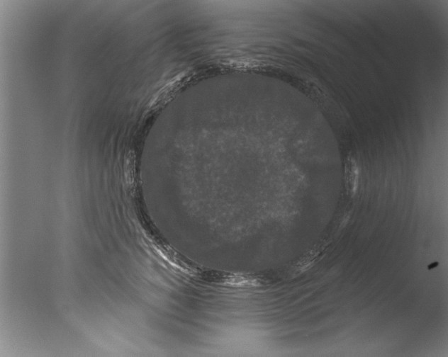 X0000076100760200610202135