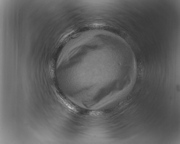 X0000076100762200610202135