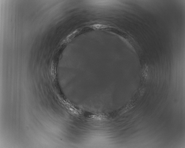 X0000076100763200610202135