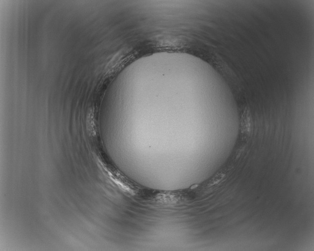 X0000076100764200610202135