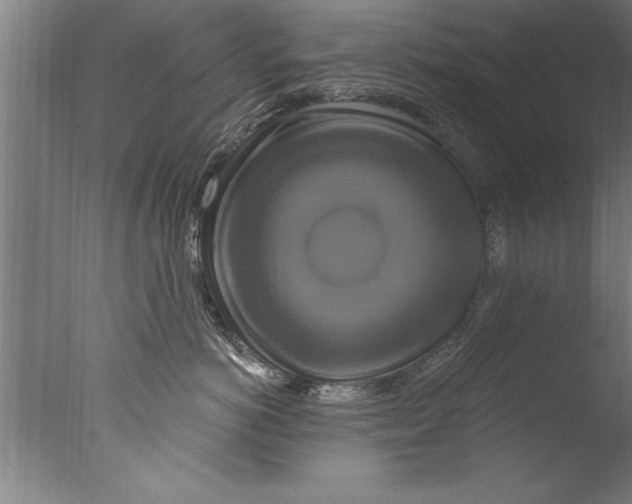 X0000076100766200610202135