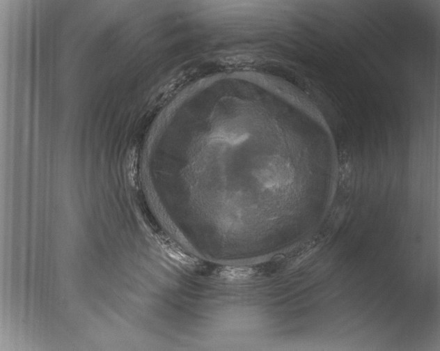 X0000076100767200610202135