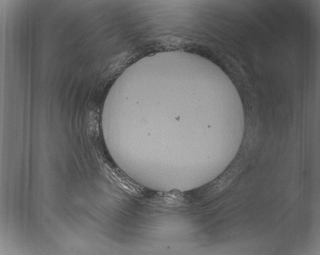 X0000076100768200610202135