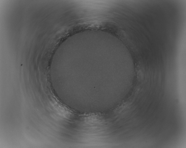 X0000076100769200610202135