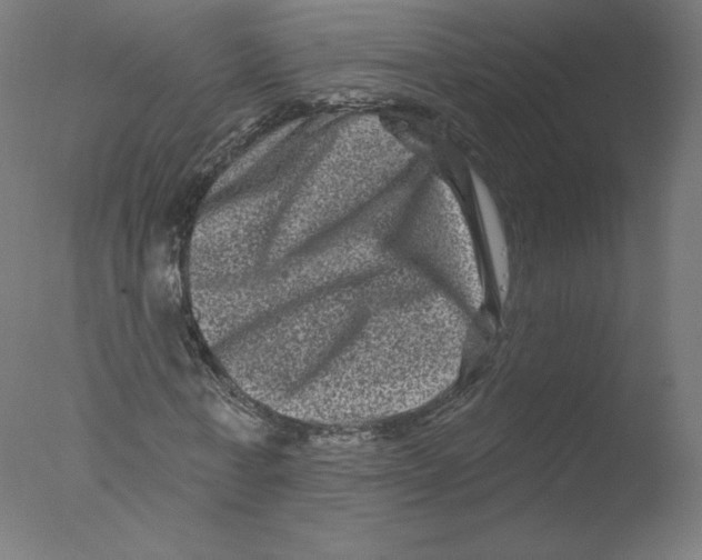 X0000076100771200610202135