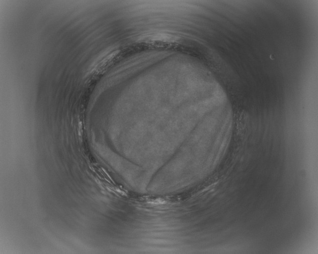 X0000076100774200610202135