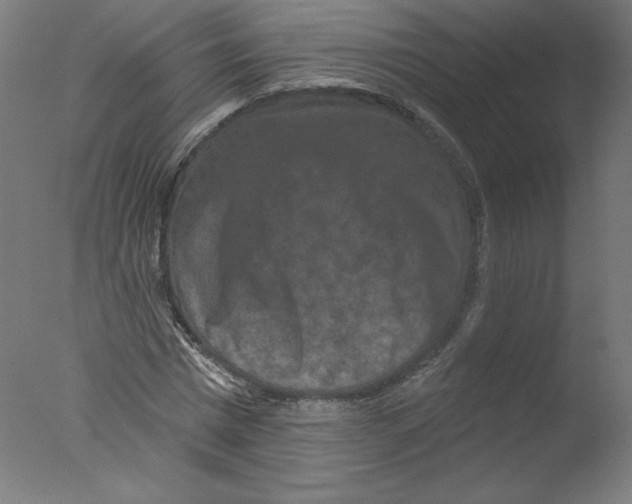 X0000076100777200610202135