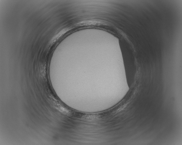 X0000076100778200610202135