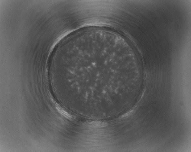 X0000076100779200610202135