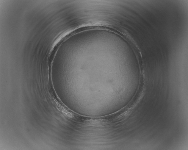 X0000076100781200610202134