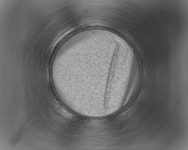 X0000076100782200610202134