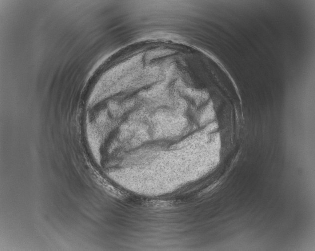 X0000076100783200610202134