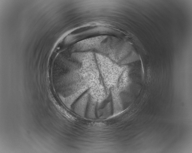 X0000076100784200610202134