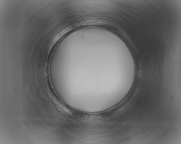 X0000076100786200610202134