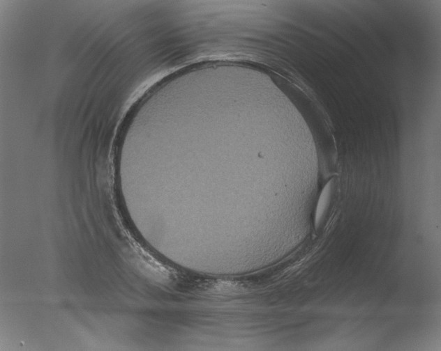 X0000076100787200610202134