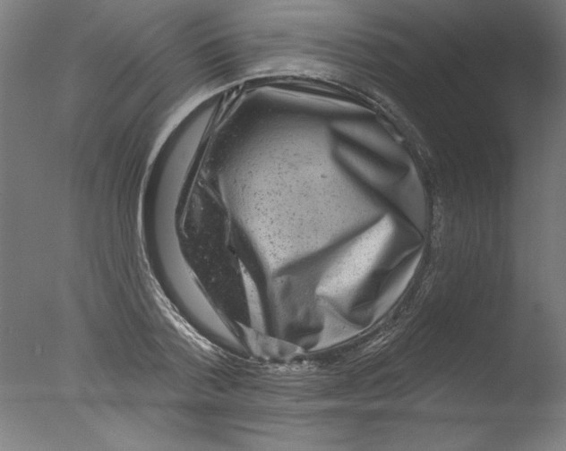 X0000076100788200610202134