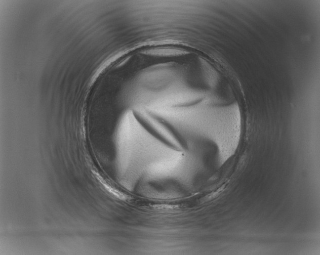 X0000076100789200610202134