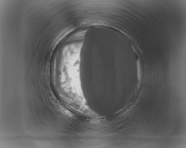 X0000076100790200610202134