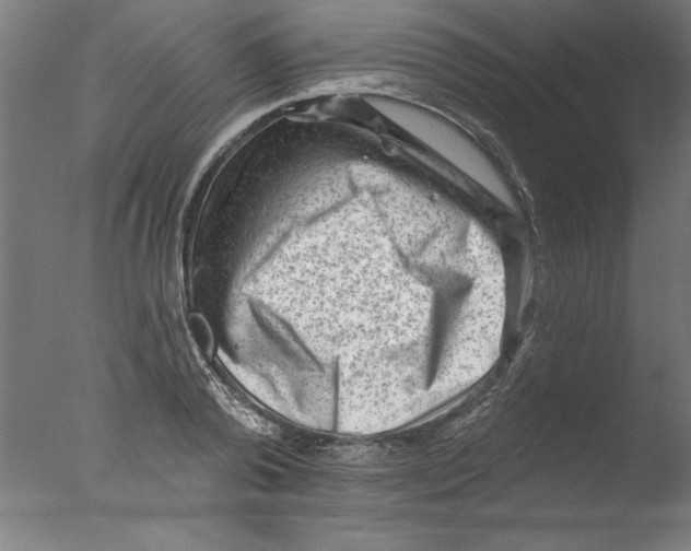 X0000076100792200610202134