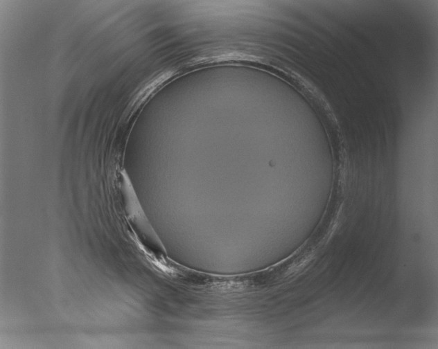 X0000076100793200610202134