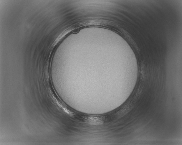 X0000076100794200610202134