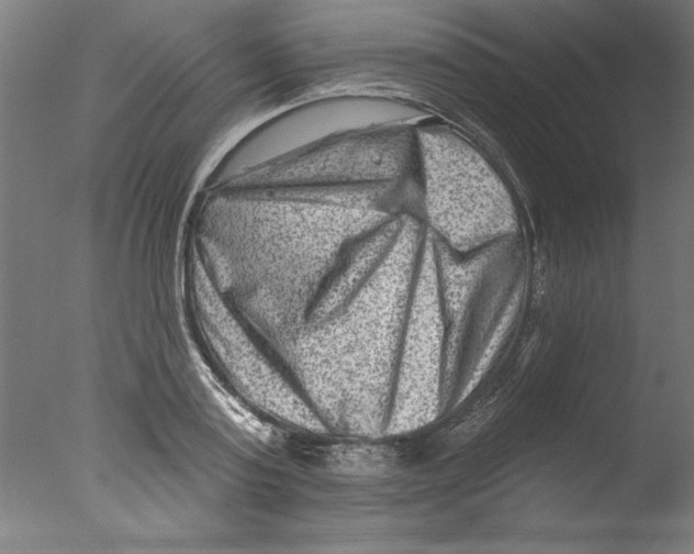 X0000076100795200610202134